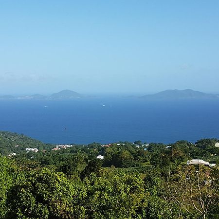Вілла L'Ilot Fruits Guadeloupe Труа-Рів'єр Екстер'єр фото
