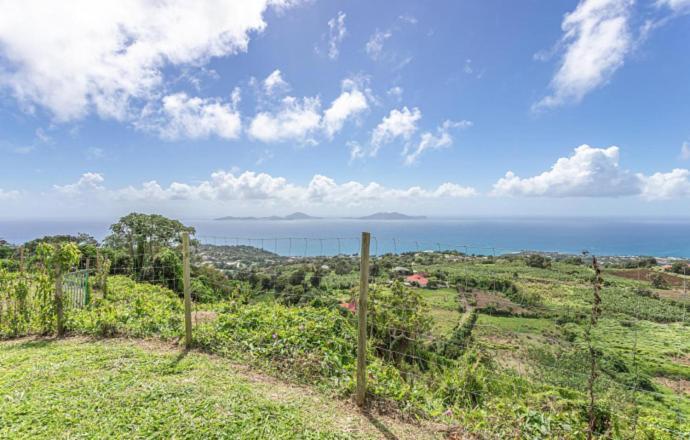 Вілла L'Ilot Fruits Guadeloupe Труа-Рів'єр Екстер'єр фото