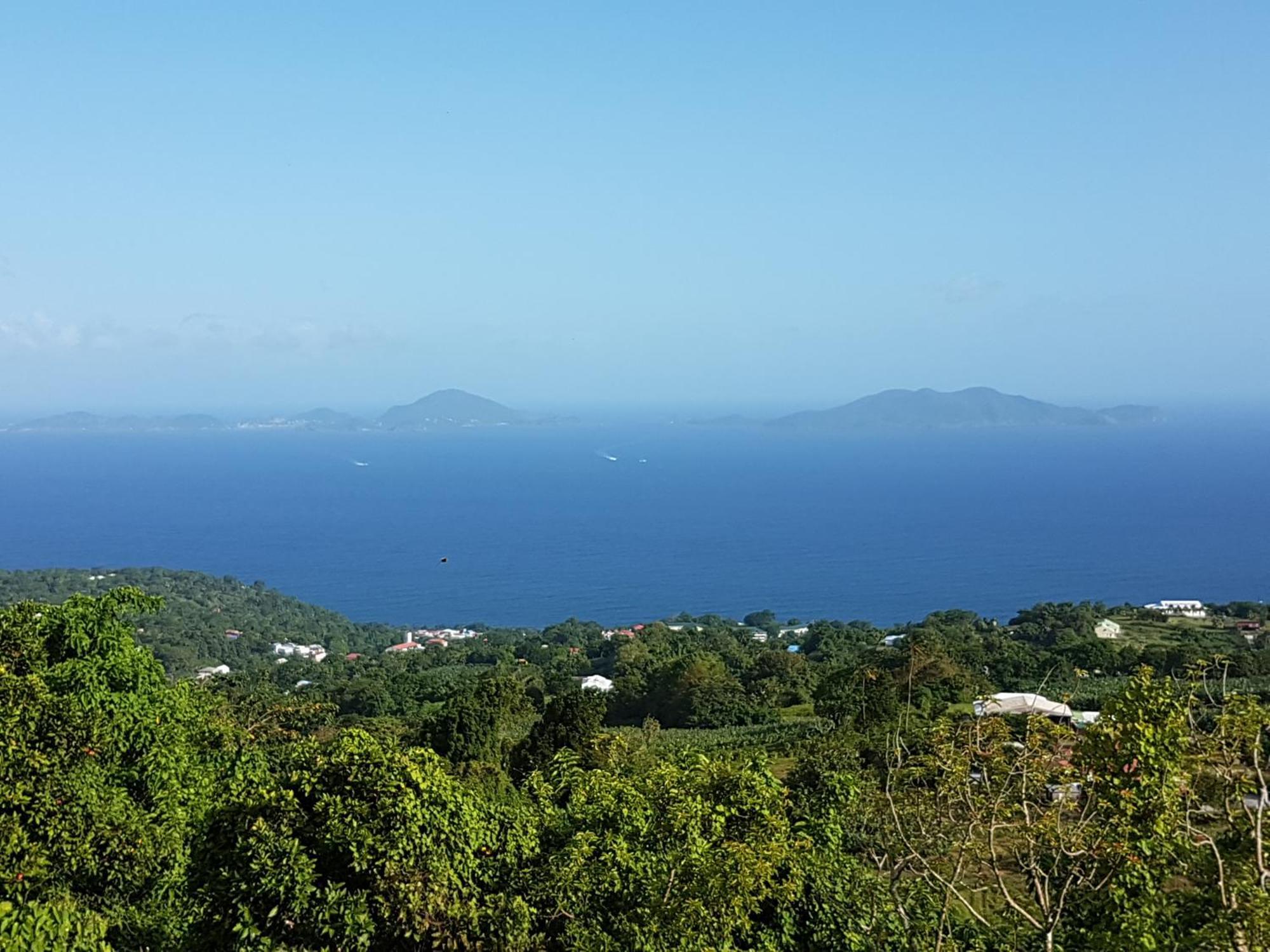 Вілла L'Ilot Fruits Guadeloupe Труа-Рів'єр Екстер'єр фото