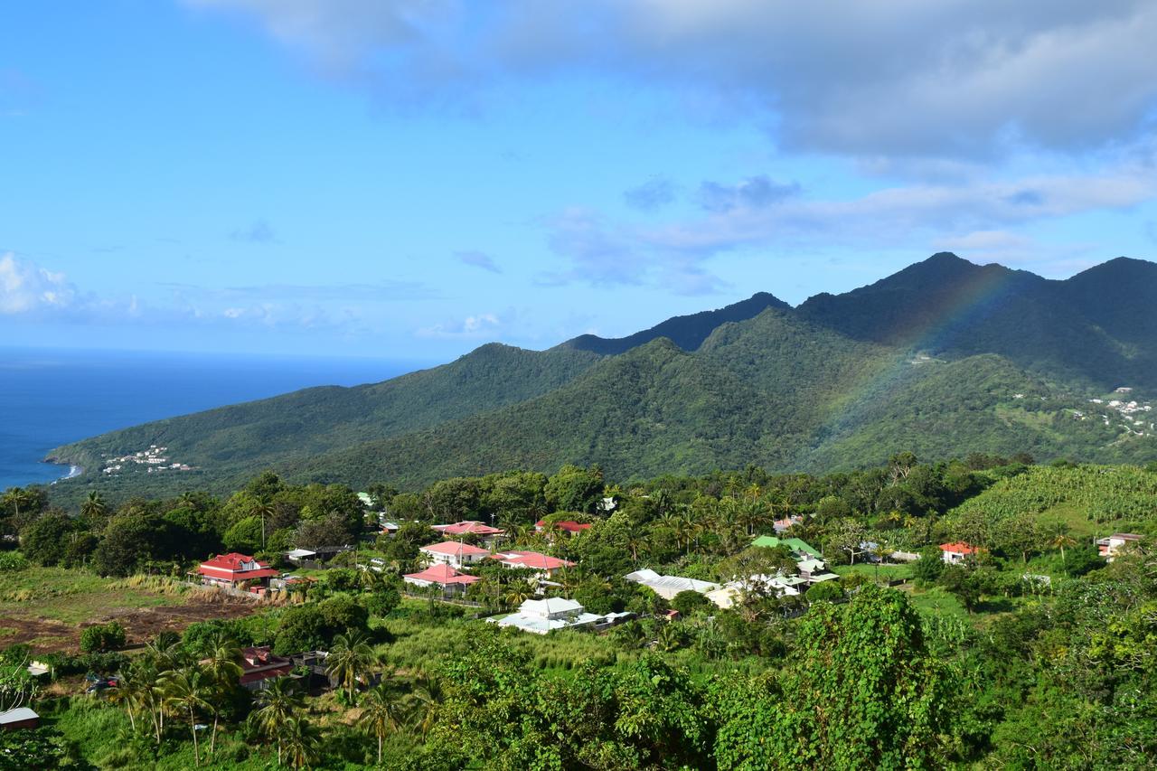 Вілла L'Ilot Fruits Guadeloupe Труа-Рів'єр Екстер'єр фото